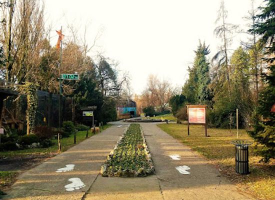 serbia/backa/shop/palic-zoo