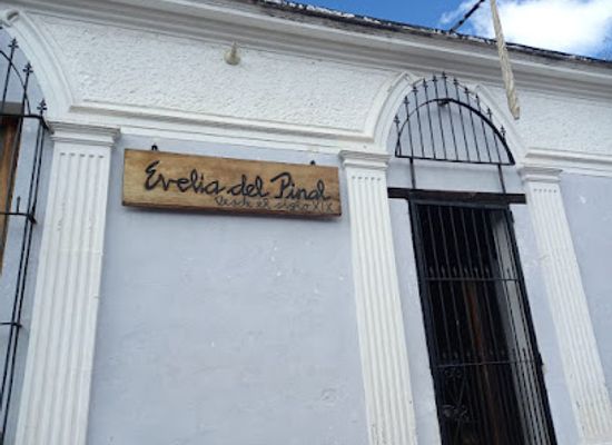 guatemala/motagua-valley/shop/evelia-del-pinal