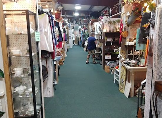florida/northeast-florida/shop/sugar-bear-antiques-inc