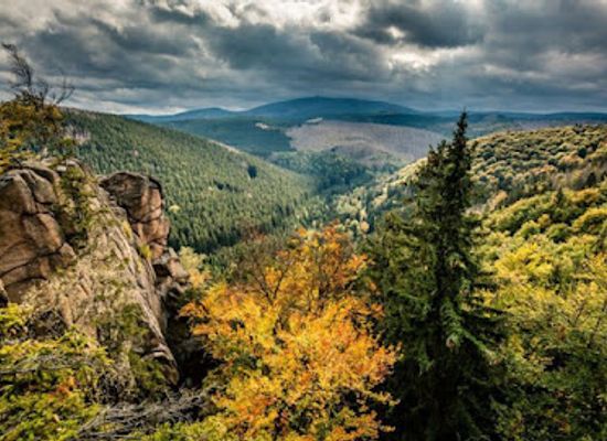germany/harz-national-park/shop/harz-national-park