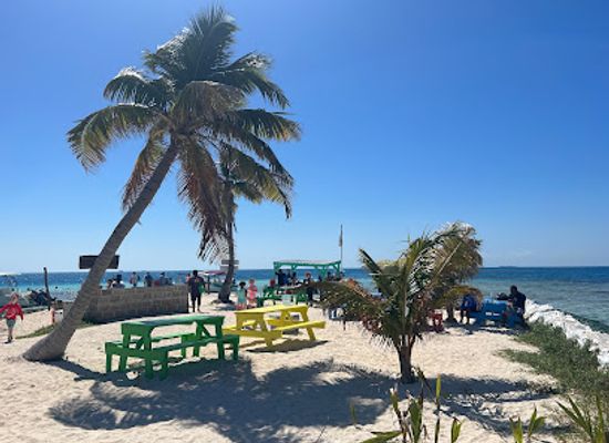 belize/coastal-plains/shop/seahorse-dive-shop
