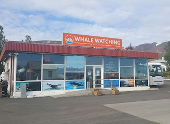 iceland/dalvik/shop/arcticseatours