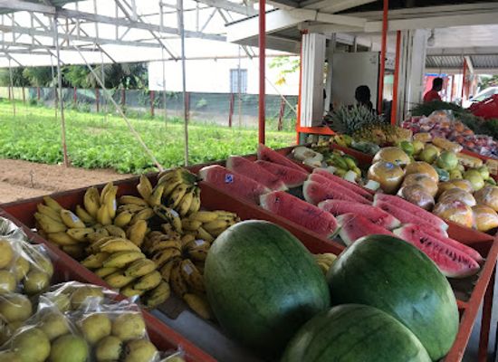 seychelles/anse-royale/shop/fruits-and-vegetables-market-bazar