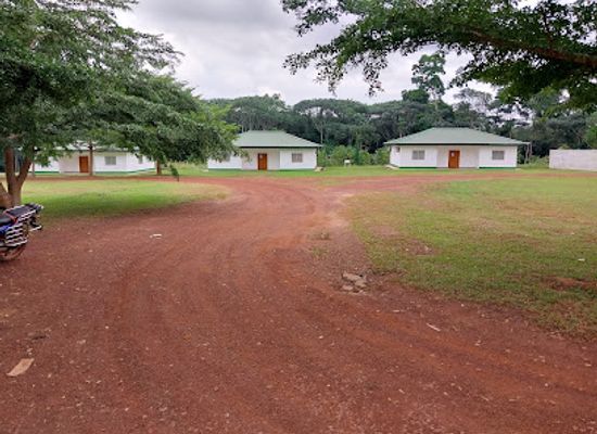 cameroon/dja-faunal-reserve/shop/club-sudcam