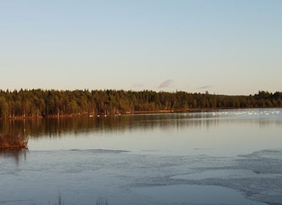 finland/ruka/shop/unikal-oy