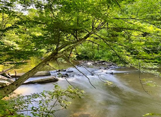 maryland/seneca-creek-state-park/shop/great-seneca-park-355