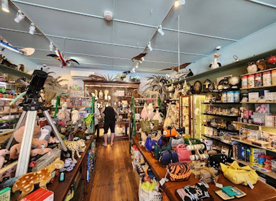australia/blue-mountains/shop/leura-cabinet-of-curiosities