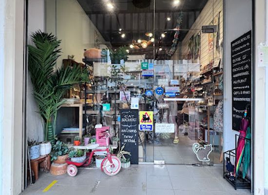 singapore/coney-island/shop/cat-socrates