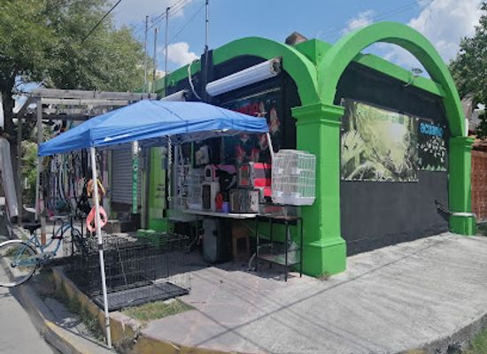 mexico/matamoros/shop/pet-shop-exotic-matamoros