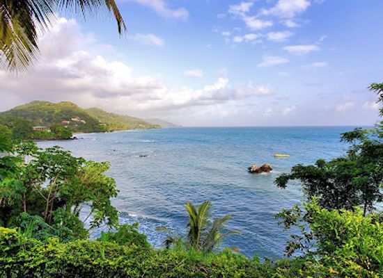 trinidad-and-tobago/toco-lighthouse/shop/toco-fishing-depot