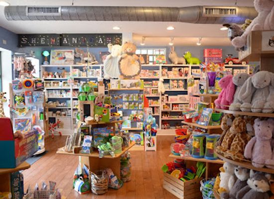 virginia/charlottesville/shop/shenanigans-toy-store