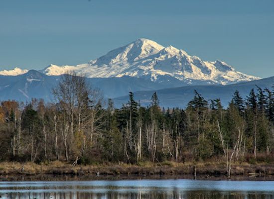 washington/mount-baker/shop/mt-baker