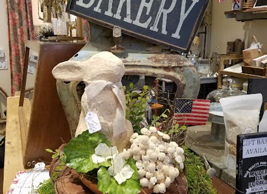 arizona/prescott/shop/modern-day-forager-mercentile