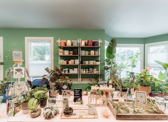 rhode-island/east-greenwich/shop/plant-girl-shop