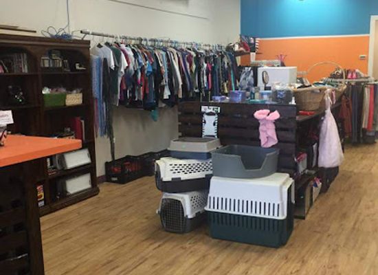texas/corpus-christi/shop/retail-therapy