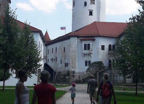 slovakia/zilina-region/shop/budatin-castle