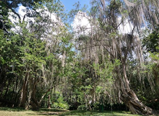 colombia/santanderes/shop/el-gallineral-natural-park