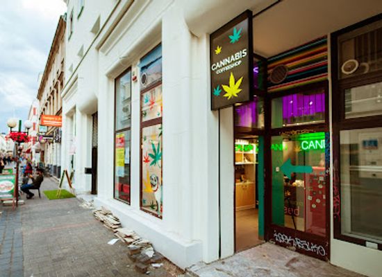 poland/warsaw/shop/mops-coffeeshop-cannabis-store
