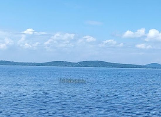 kenya/lake-victoria/shop/tilapia-fish-from-lake-victoria-yimbo