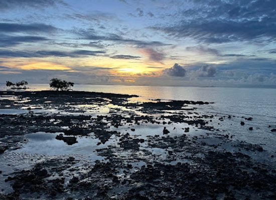 solomon-islands/taro-island/shop/taro-island