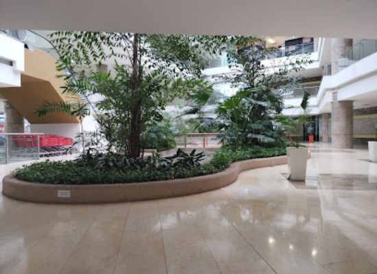 colombia/barranquilla/altos-de-riomar/shop/c-c-blue-gardens-barranquilla