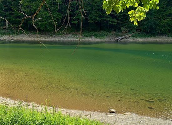 montenegro/biogradska-gora-national-park/shop/biograd-forest