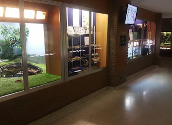 south-dakota/missouri-river/shop/gavins-point-national-fish-hatchery-hatchery-building-and-aquarium