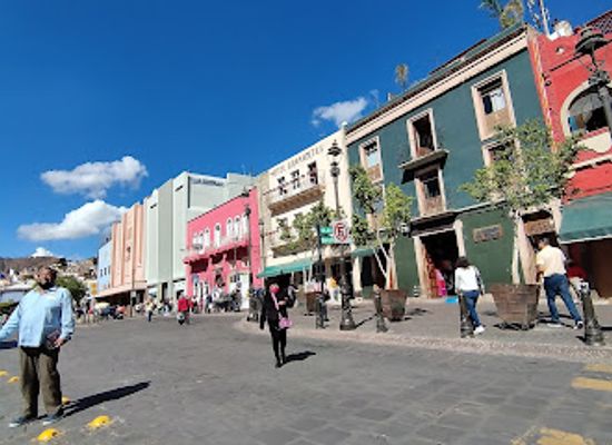 mexico/guanajuato/shop/cuidado-con-el-perro-mujeres
