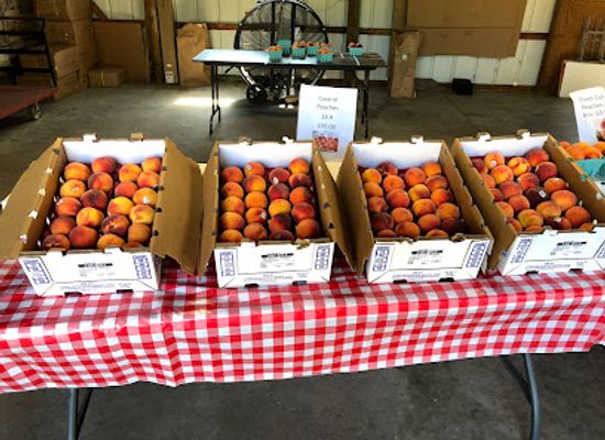 wisconsin/lake-superior-lowland/shop/rabideauxs-bayfield-fruit-co