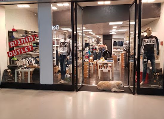 israel/herzliya/marina-herzliya/shop/showroom
