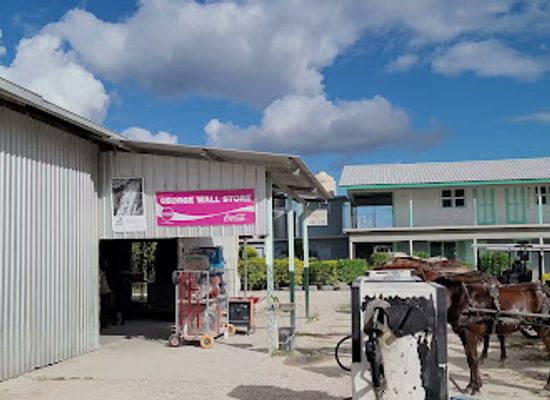belize/crooked-tree-wildlife-sanctuary/shop/george-wall-general-store
