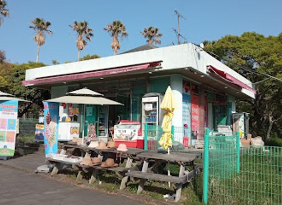 south-korea/jeju-city/jungmun/shop/souvenir-store