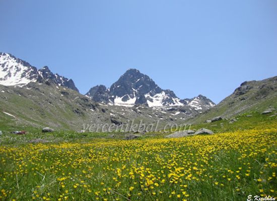 turkiye/kackar-mountains/shop/vercenik-bal-evi