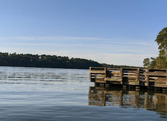 north-carolina/uwharrie-mountains/shop/uwharrie-national-forest