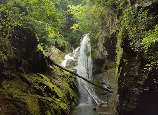 south-carolina/lake-jocassee/shop/jocassee-gorges-wilderness-area