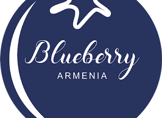 armenia/kotayk/shop/blueberry-armenia