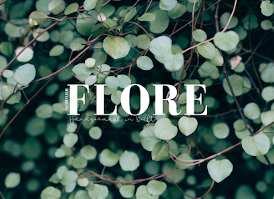 netherlands/delfland/shop/by-flore