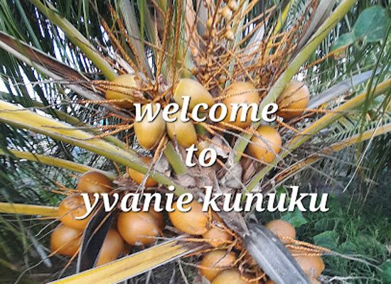 curacao/curacao-ostrich-farm/shop/yvanie-kunuku