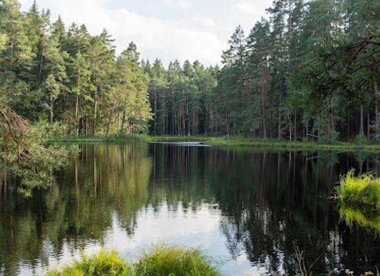 poland/suwalszczyzna/shop/wigierski-park-narodowy