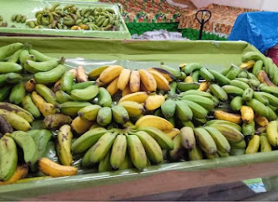 new-caledonia/lifou-island/shop/ucpa