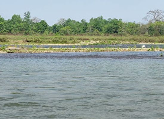 nepal/chitwan-national-park/shop/chitwan-national-park-office