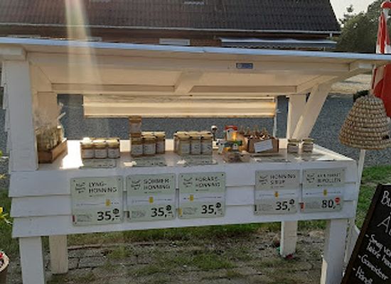 denmark/romo/shop/atzen-honning-romo