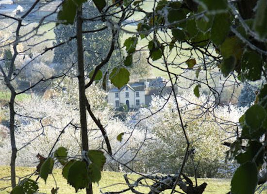 united-kingdom/radnorshire/shop/radnorshire-fine-arts-ltd