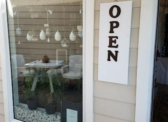 florida/sanibel-island/shop/the-dale-home