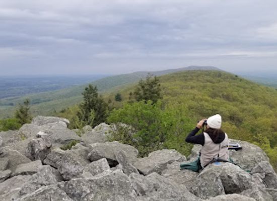 pennsylvania/appalachian-mountains/shop/hawk-mountain-sanctuary