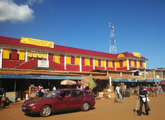 central-african-republic/sangha-river/shop/marche-central