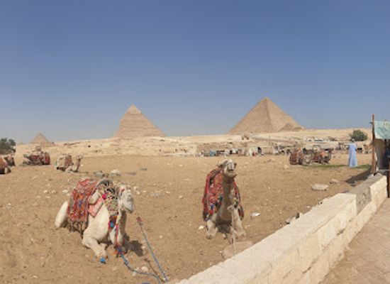 egypt/giza-plateau/shop/golden-bird-bazaar