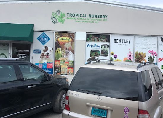 the-bahamas/new-providence/shop/tropical-nursery-garden-flora-pet-supplies-ltd