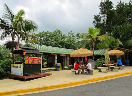 puerto-rico/caribbean-national-forest/shop/el-portal-de-el-yunque-visitor-center-el-yunque-national-forest