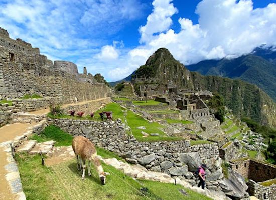 peru/apurimac/shop/sparrow-explorer-travel-inca-trail-experience-trips-to-machu-picchu